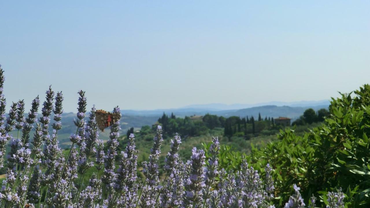 Appartamenti Ava E Tegrino Nell'Antica Dimora Di Fulignano サン・ジミニャーノ エクステリア 写真