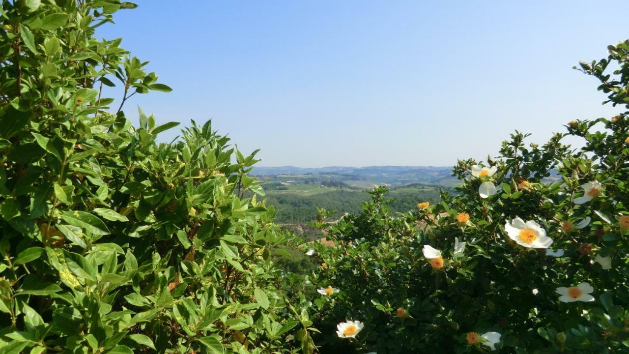 Appartamenti Ava E Tegrino Nell'Antica Dimora Di Fulignano サン・ジミニャーノ エクステリア 写真