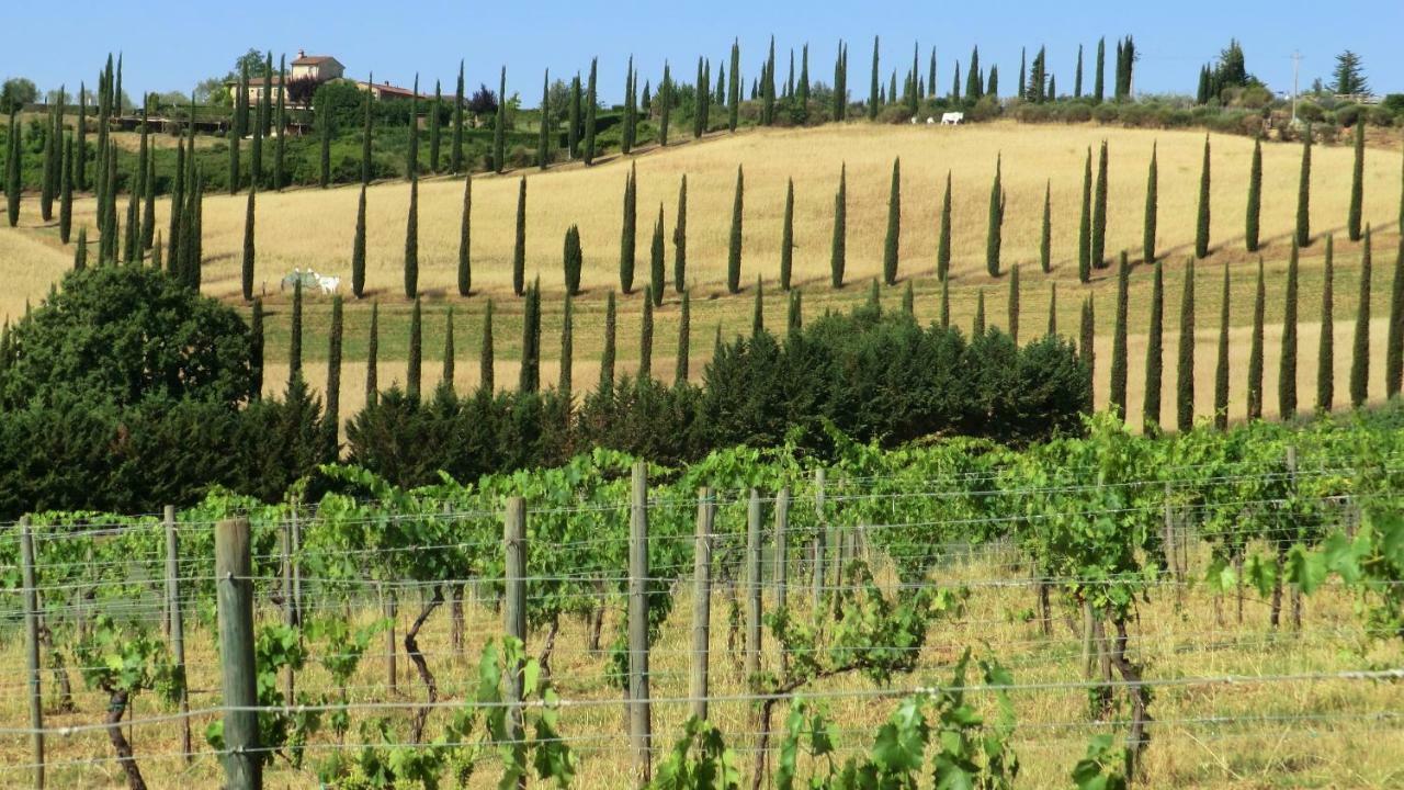 Appartamenti Ava E Tegrino Nell'Antica Dimora Di Fulignano サン・ジミニャーノ エクステリア 写真