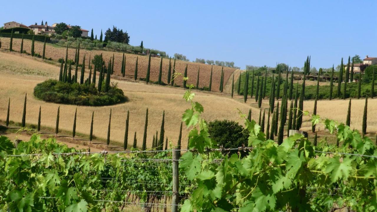 Appartamenti Ava E Tegrino Nell'Antica Dimora Di Fulignano サン・ジミニャーノ エクステリア 写真